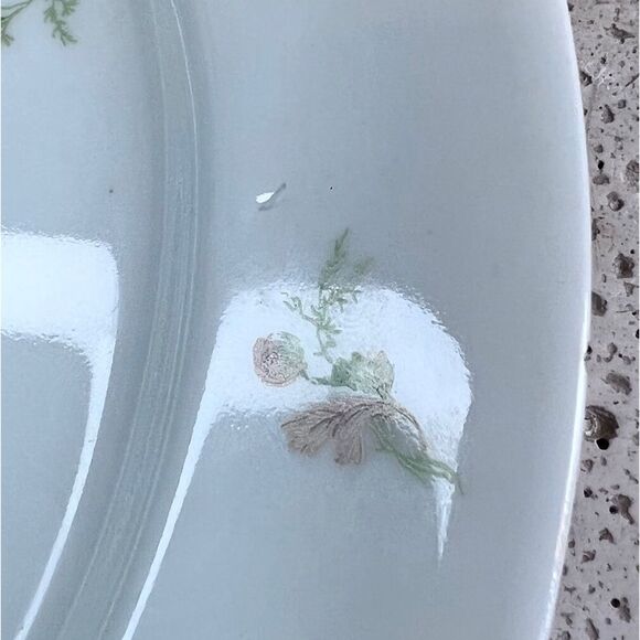Vintage GDA CH Field Haviland Limoges France Floral Dinner Plates & Serving Dish - Picture 10 of 15